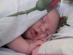     
: son165 - .jpg
: 19
:	35.2 
ID:	2318124