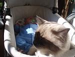     
: son174 - 3.jpg
: 21
:	118.1 
ID:	2318159