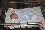     
: son179 - .jpg
: 44
:	132.7 
ID:	2318178