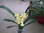     
: ____0995.jpeg
: 276
:	36.2 
ID:	2320304