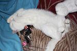     
: IMG_4356.jpg
: 23
:	111.8 
ID:	2321607
