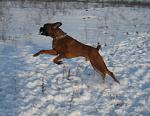     
: IMG_4404.jpg
: 60
:	110.0 
ID:	2321861