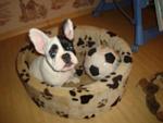     
: DSC02107.jpg
: 22
:	85.6 
ID:	2323189