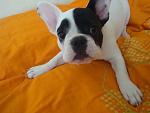     
: DSC02047.jpg
: 24
:	91.2 
ID:	2323209