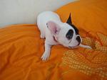     
: DSC02048.jpg
: 22
:	84.9 
ID:	2323235