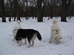     
: P2202285.JPG
: 24
:	145.2 
ID:	2323513