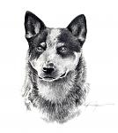     
: il_fullxfull.25451557.jpg
: 16
:	113.3 
ID:	2324491