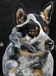     
: mandy-archibald-13-cattle-dog-aug10.jpg
: 14
:	66.5 
ID:	2324493
