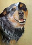     
: murri-mandy-14-blue-cattledog-sept08.jpg
: 16
:	60.2 
ID:	2324495
