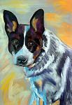     
: murri-mandy-archibald-15-dog-22april09.jpg
: 9
:	72.1 
ID:	2324498