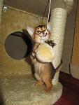     
: Pablo (6).jpg
: 15
:	43.4 
ID:	2324998