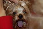     
: DSC_8880.JPG
: 73
:	93.5 
ID:	2325652