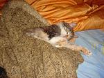     
: DSC06569.jpg
: 27
:	117.1 
ID:	2327821