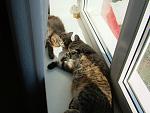     
: DSCF3880.jpg
: 5
:	123.5 
ID:	2329694