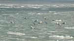     
: DSC05111.jpg
: 53
:	158.9 
ID:	2330634
