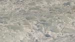     
: DSC05133.jpg
: 54
:	97.8 
ID:	2330639