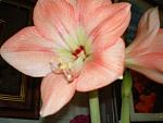     
: lichnoe 174.jpg
: 22
:	52.1 
ID:	233105