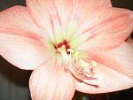     
: lichnoe 175.jpg
: 24
:	48.3 
ID:	233106