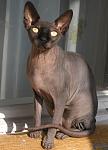     
: Фото микс 2009 021.jpg
: 23
:	74.8 
ID:	2331788