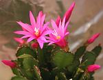     
: IMG_7851.JPG
: 64
:	107.1 
ID:	2337009
