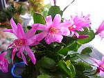     
: P1020158.jpg
: 35
:	115.2 
ID:	2337613