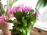     
: P1020146.jpg
: 30
:	125.3 
ID:	2337615