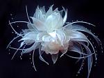     
: PICT0008.jpg
: 22
:	88.8 
ID:	2337855