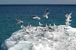    
: More_00046.jpg
: 56
:	136.0 
ID:	2344223