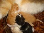     
: DSC09603.JPG
: 199
:	129.5 
ID:	2344979