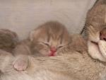     
: DSCN1922.jpg
: 40
:	99.3 
ID:	2349066
