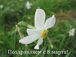     
: 1268043771_8marta.jpg
: 8
:	41.3 
ID:	2349298