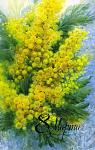     
: a5e648dbef1529b4e10076a011f647c1.jpg
: 4
:	82.5 
ID:	2350001