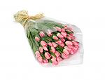     
: 1207742312_b.jpg
: 11
:	44.5 
ID:	2350318