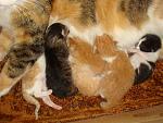     
: DSC09610.JPG
: 190
:	118.9 
ID:	2350660