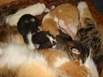     
: DSC09618.JPG
: 103
:	129.4 
ID:	2350661
