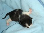     
: DSC09627.JPG
: 95
:	140.7 
ID:	2350666