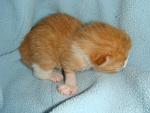     
: DSC09630.JPG
: 89
:	141.1 
ID:	2350668