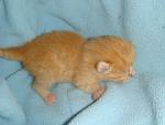     
: DSC09631.JPG
: 92
:	122.5 
ID:	2350671