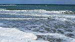     
: IMG_7741.jpg
: 40
:	122.9 
ID:	2352785