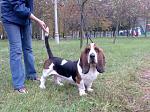     
: 38254 (2).jpg
: 84
:	59.9 
ID:	235335