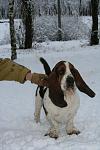     
: _MG_6322.jpg
: 78
:	46.7 
ID:	235341