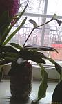     
: IMAG0818.jpg
: 31
:	76.6 
ID:	2354848