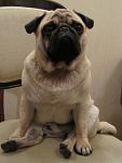     
: IMG_0345.jpg
: 45
:	75.2 
ID:	2355995