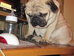     
: IMG_0876.jpg
: 43
:	166.9 
ID:	2356074