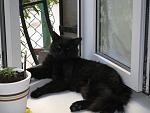    
: IMG_2741.jpg
: 54
:	273.2 
ID:	2356620