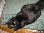     
: IMG_0416.jpg
: 57
:	118.3 
ID:	2356622
