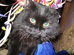     
: IMG_1547.jpg
: 59
:	96.1 
ID:	2356623