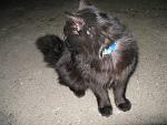     
: IMG_0798.jpg
: 45
:	95.1 
ID:	2356624