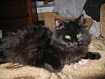     
: IMG_0321.jpg
: 34
:	113.4 
ID:	2356626