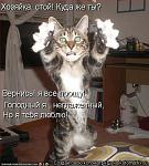     
: 1279798066_x_96d2c9cd.jpg
: 21
:	51.5 
ID:	2356722